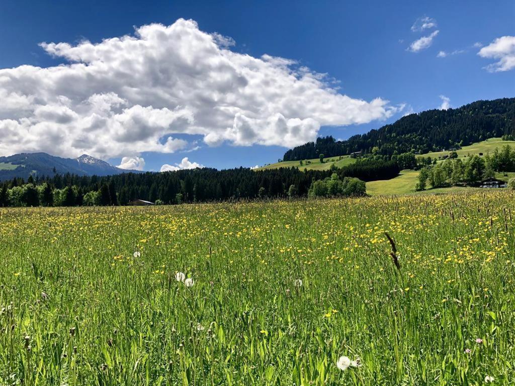 Pension Heidelberg - Fam Fuchs Hopfgarten im Brixental Zewnętrze zdjęcie
