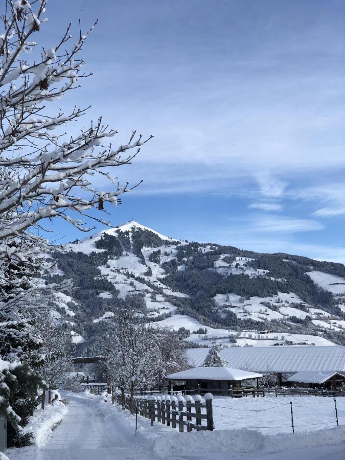 Pension Heidelberg - Fam Fuchs Hopfgarten im Brixental Zewnętrze zdjęcie